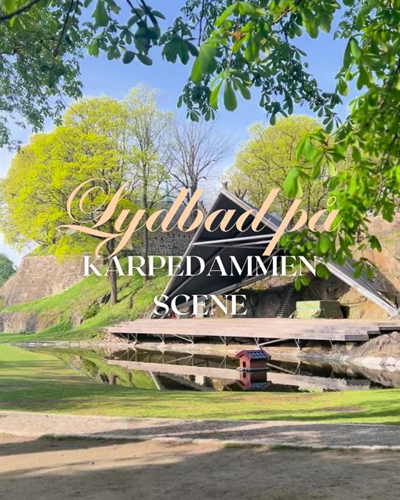 Sound bath at Karpedammen
