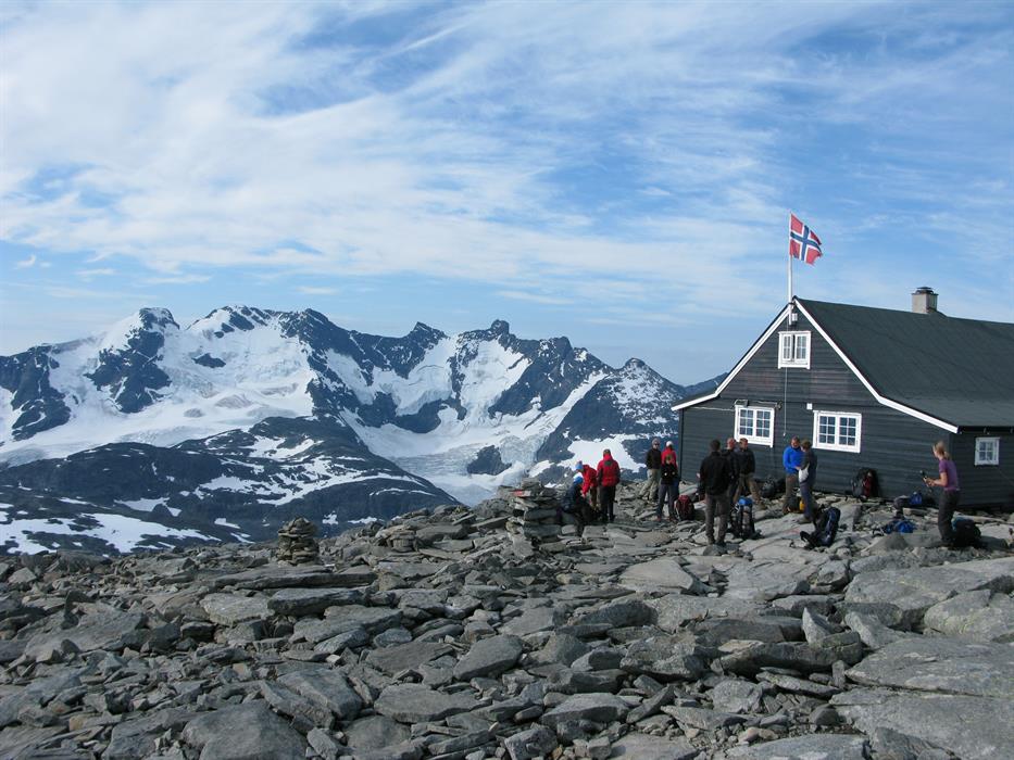 kaktus fensterbild Mexikanischer Volkskunst-Kaktus main image 0