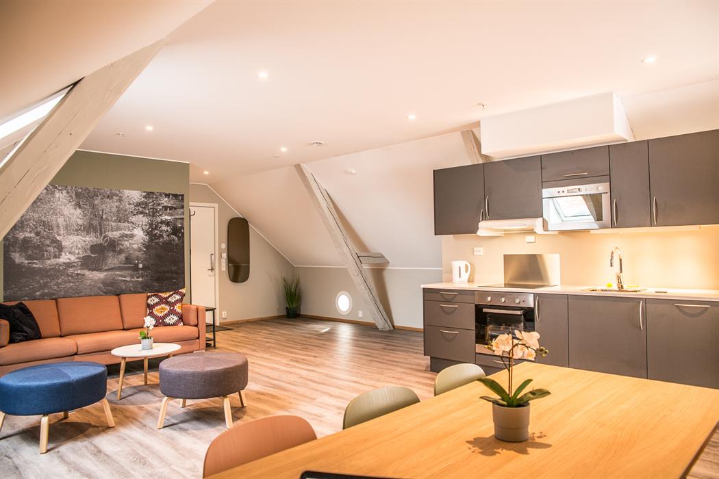 MayaApartmentsSkjetten_Stueogkj_kken_c_Maya_Apartments_1413712638.jpg
