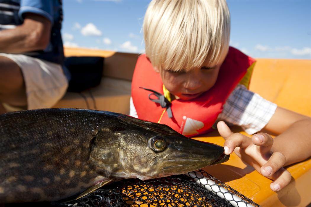 Pike_fishing_in_eastern_Norway_foto_Terje_Rakke_2030551521.jpg