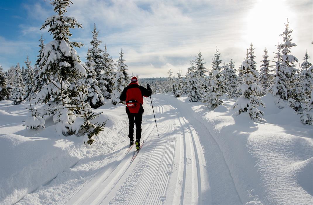 Søndre Land - Skiturer i Østmarka fra "Flyplassen" - Visit Øst-Norge